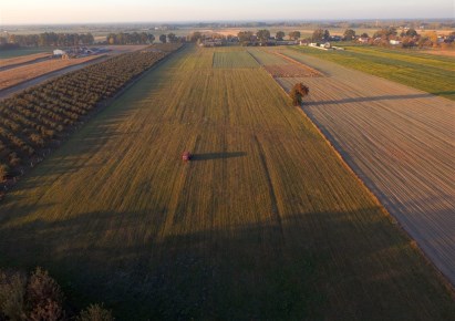 działka na sprzedaż - Kampinos, Strzyżew