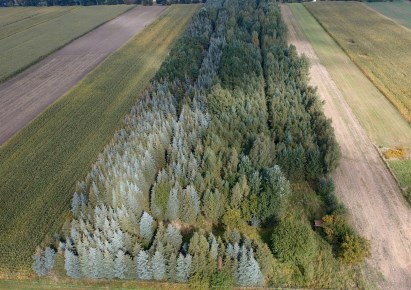 działka na sprzedaż - Bolimów, Łasieczniki