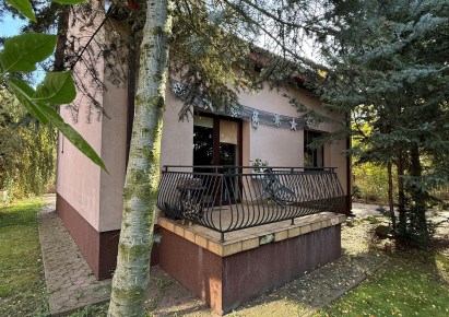 dom na sprzedaż - Sochaczew (gw), Kuznocin