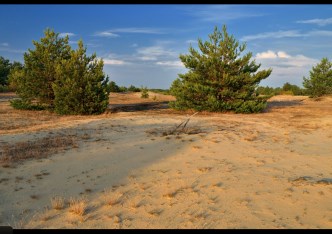 działka na sprzedaż - Brochów, Famułki Brochowskie